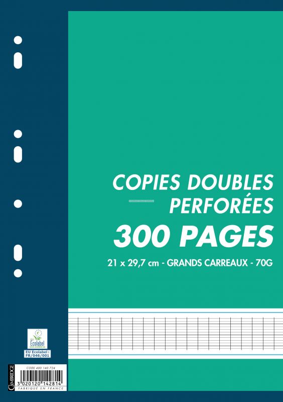 300 copies doubles a4 grands carreaux perforees