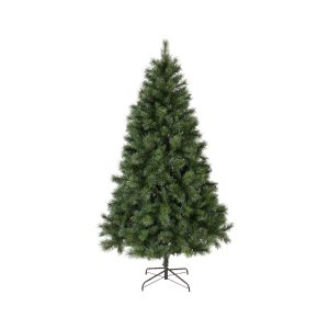 Sapin ontario 210 cm