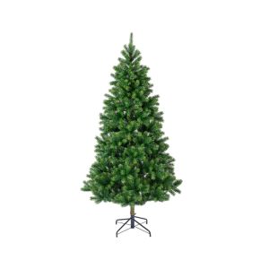 Sapin kenmore 180 cm