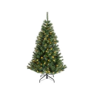 Sapin canada illumin