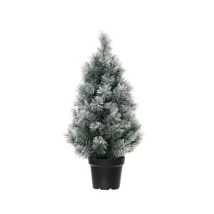 Sapin canada givre 60 cm