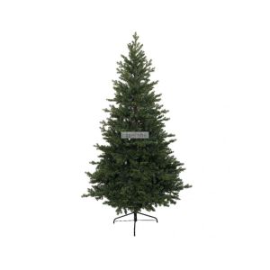 Sapin allison 180 cm