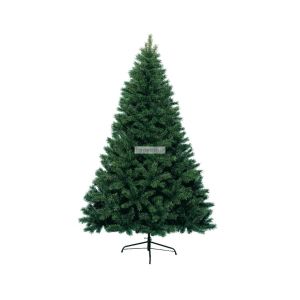 Sapin canada 240 cm