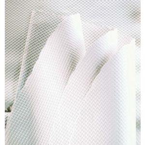 500 nappes blanches 70 x 70 cm