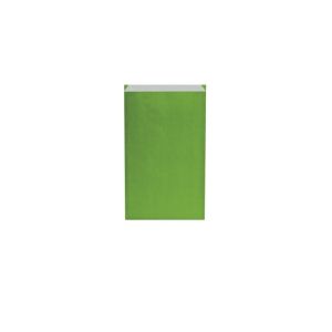 250 pochettes cadeaux kraft verg vert papaye 17 x 7 x 26 cm