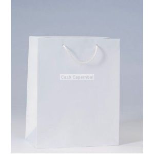 12 sacs luxe pellicul blanc 26 x 13 x 32 cm